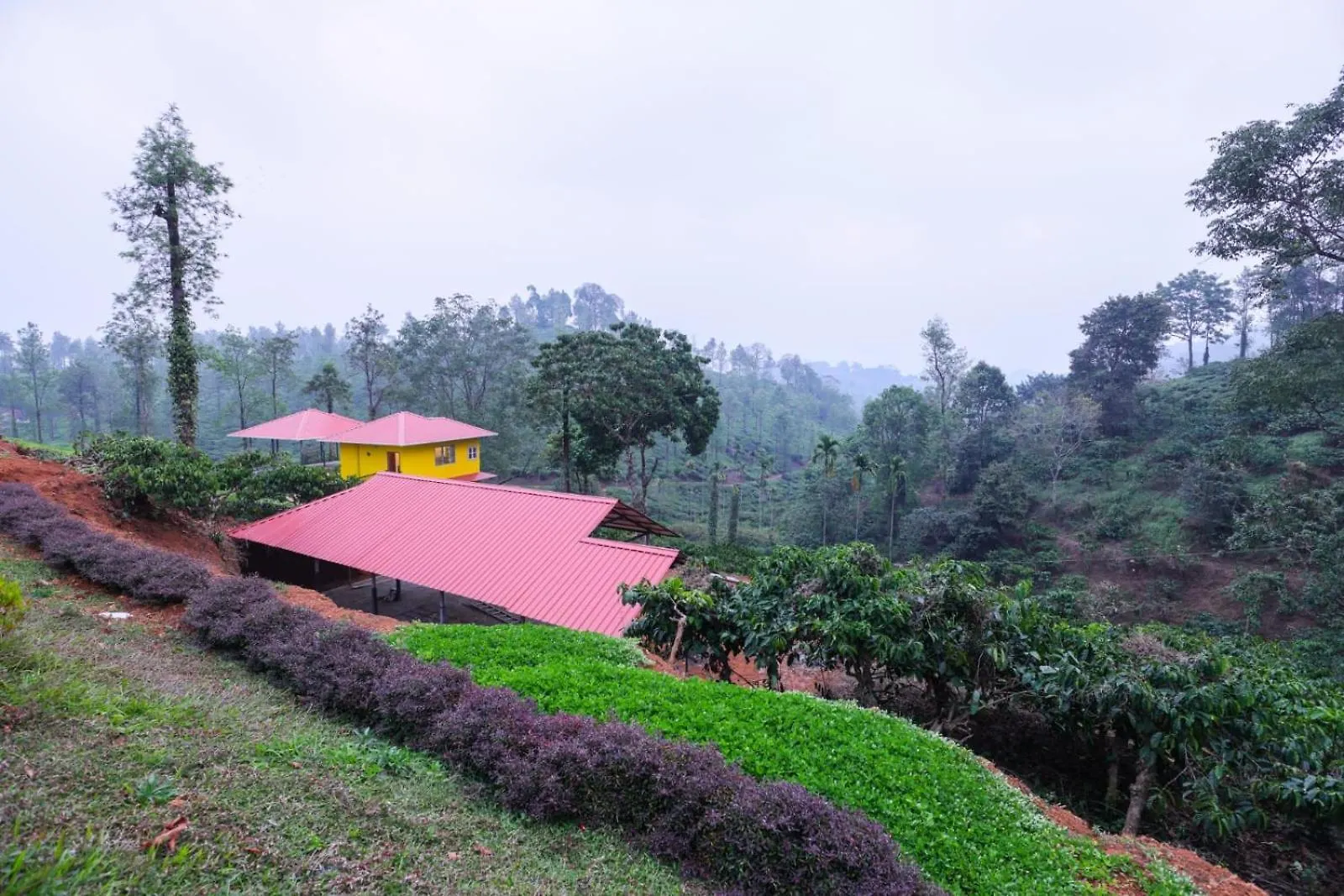 Velvet Oasis Cottages Vythiri
